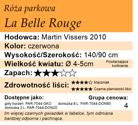 Cechy odmiany róży parkowej La Belle Rouge